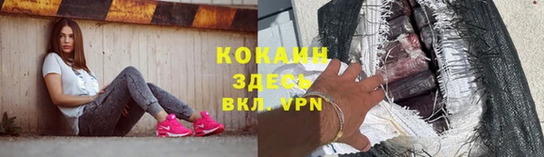 трава Абаза