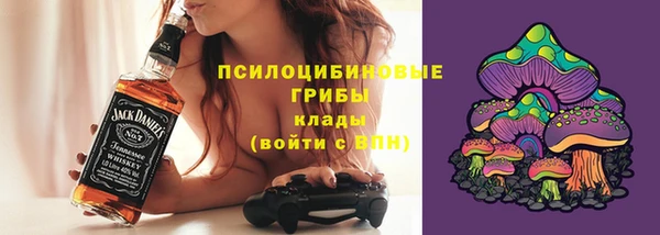 мдпв Семёнов