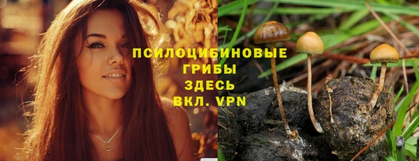 стафф Абдулино