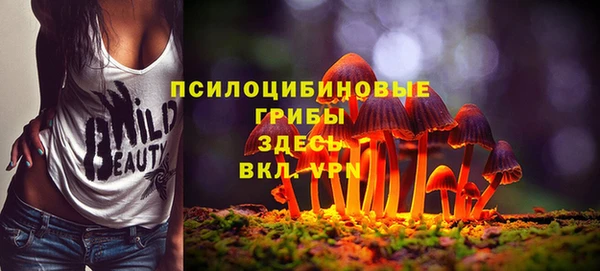 трава Абаза