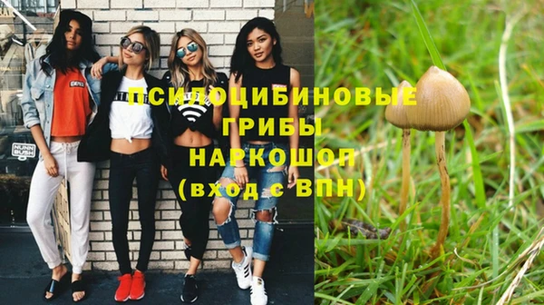 стафф Абдулино