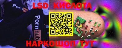 крисы Ирбит